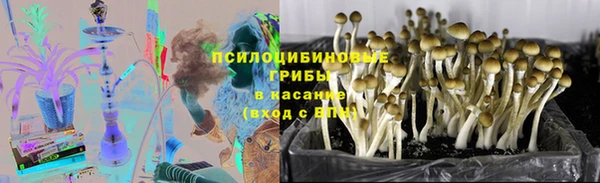 спиды Богородск