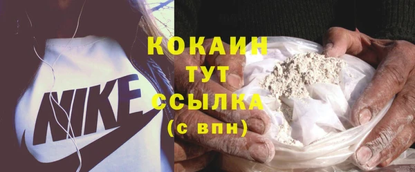 ПСИЛОЦИБИНОВЫЕ ГРИБЫ Белокуриха